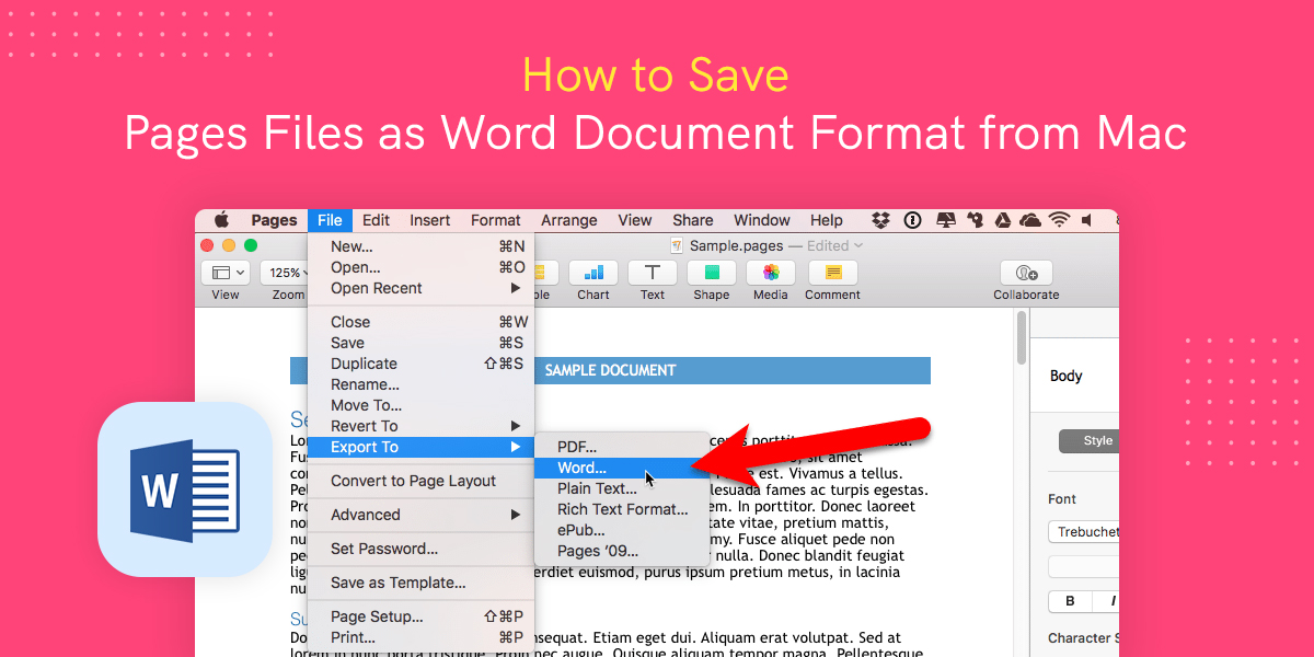 format type for mac and windows